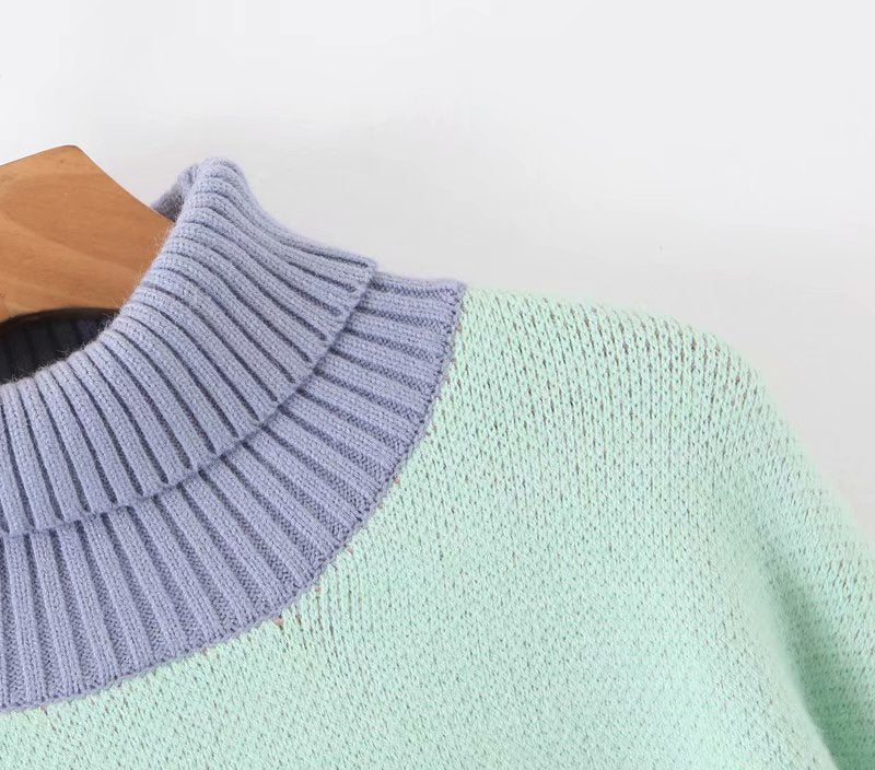 Multicolor Turtleneck Sweater